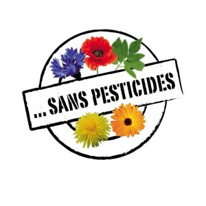 Logo SP FR Logo SP FR