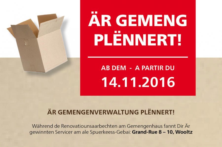 Flyer De?me?nagement nov16