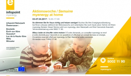 AnnA5-myenergy