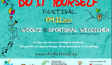 affiche WOLZ A5landscape web