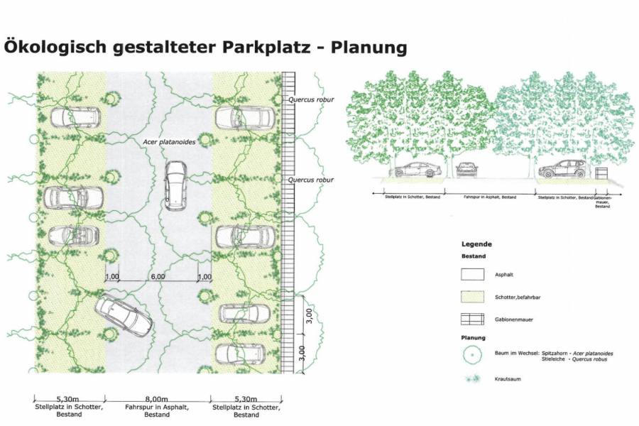 oekologischer-parkplatz-planung
