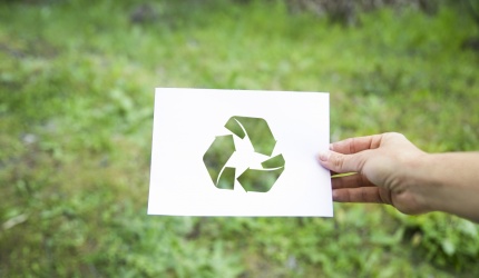 recycle wiltz