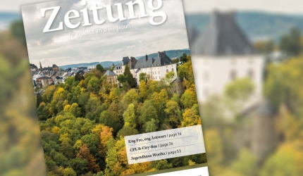 Teaser zeitung-2020-4