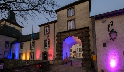 20210225 Wiltz - Rare Disease Day - Light it Up - 26