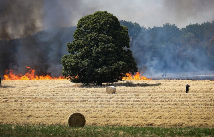 Feux sur un champ à Hamm - Photo: Gerry Huberty/Luxemburger Wort