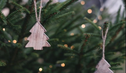 pexels-freestocksorg-704219