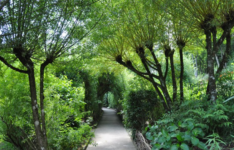 jardin de wiltz 1